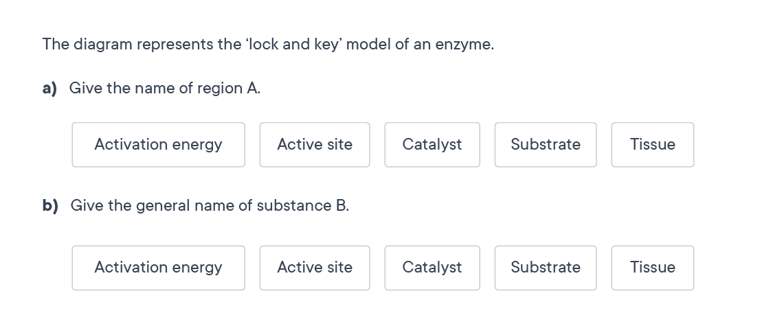 Example Biology question - Easy difficulty